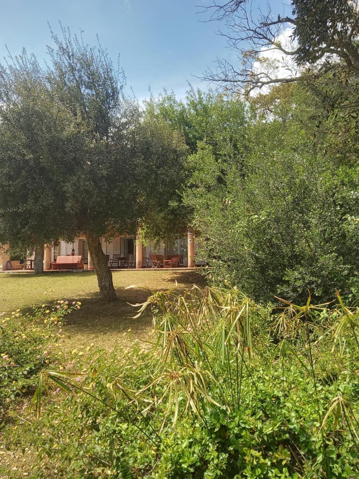 Sotogrande. Estancia Privada En Plena Naturaleza Buitenkant foto