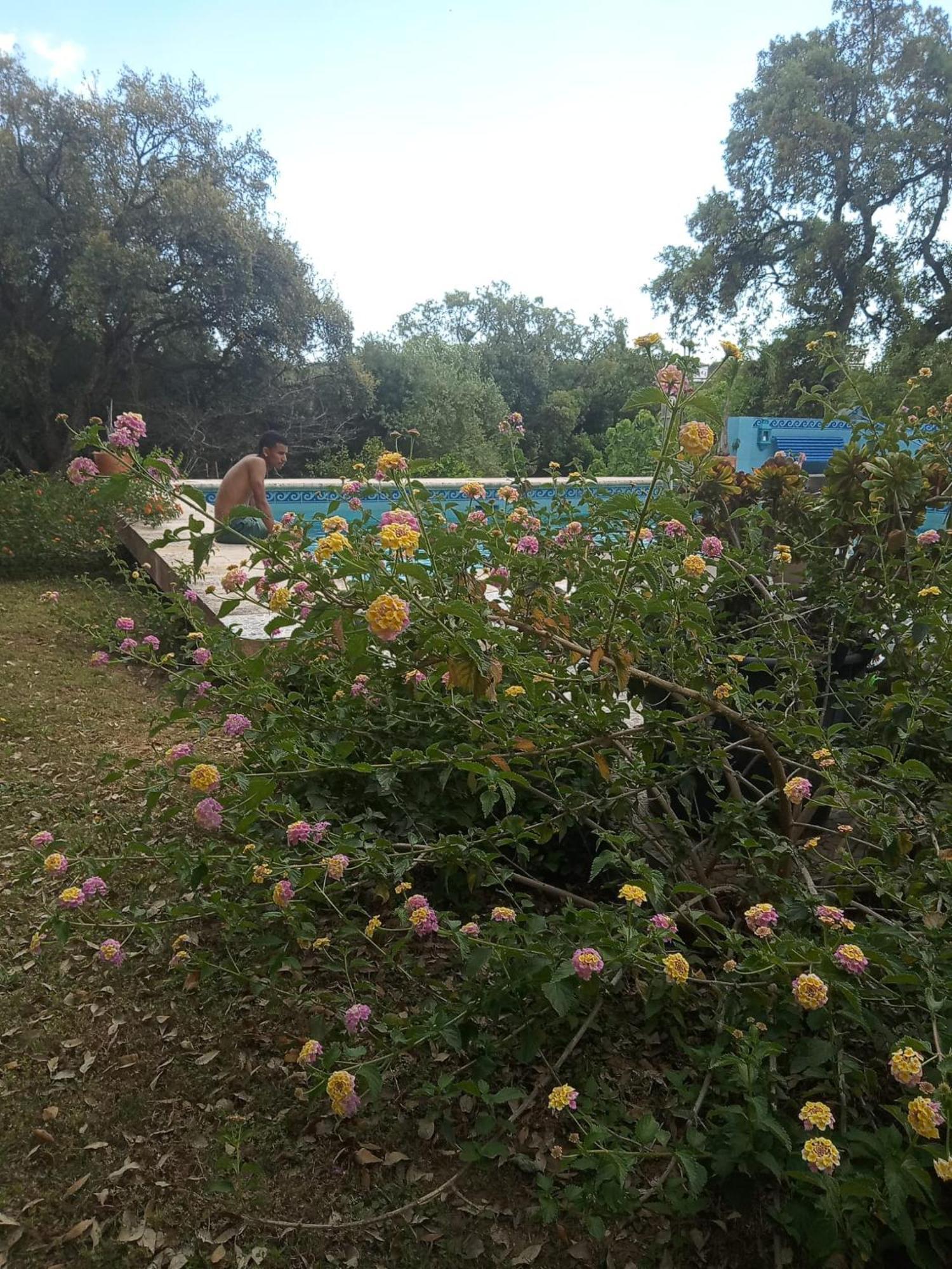 Sotogrande. Estancia Privada En Plena Naturaleza Buitenkant foto